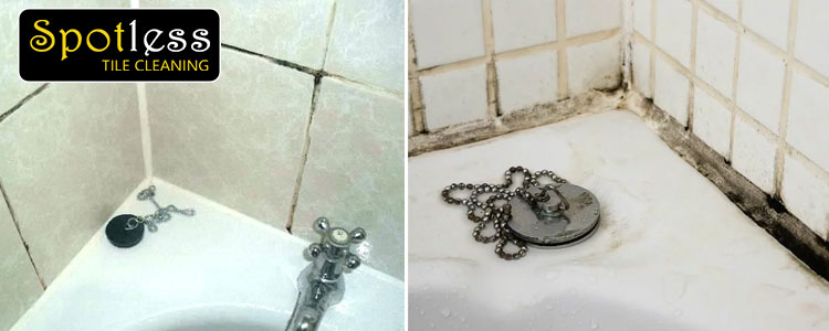 Bathrooms Tile Mould Removal
