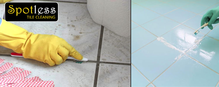 Grout Mould Cleanup Service Perth