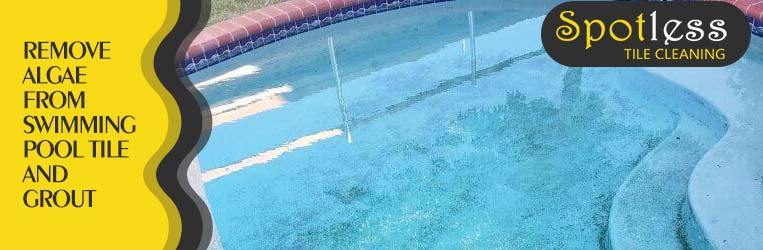 Remove Algae From Swimming Pool Tile, How To Clean Swimming Pool Tile Grout